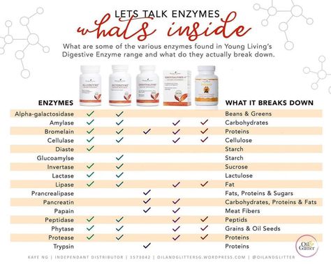 Young Living Essential Oils: Allerzyme EssentialZyme 4 Detoxyzme MightyZyme Young Living Supplements, Essential Oil Usage, Young Living Products, Supplements Packaging, Essential Oils Young Living, Mist Diffuser, Young Living Essential Oils Recipes, Yl Oils, Daily Yoga Workout