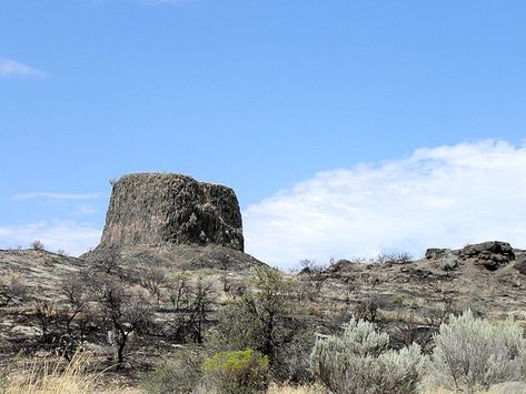 Hermiston Oregon, Oregon State Parks, Eastern Oregon, Oregon Trail, Columbia River, Take A Hike, Park Photos, Water Skiing, South Shore