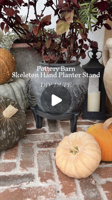 Cyn Stiller on Instagram: "My favorite dupe so far this Halloween season i think. Skelton planter stand. What do you guys think?" Diy Urn Planter, Halloween Planter Ideas, Hand Planters, Urn Planters, Planter Stand, Halloween Season, Pottery Barn, Halloween, Floral