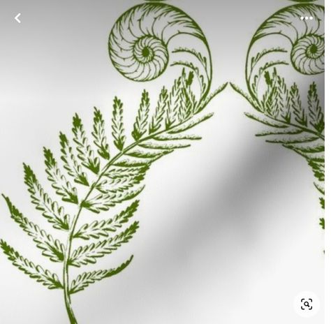 Fibonacci Drawing, Fern Unfurling, Fern Spiral, Unfurling Fern, Spiral Tattoos, Fern Tattoo, Botanical Tattoo, Ink Illustration, Green Nature