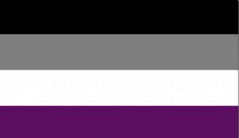 Asexual Spectrum, Queer Pride Flag, Romantic Attraction, Ace Flag, Asexual Pride, Lgbtq Flags, Lgbt Flag, Flag Svg, Sketches Simple