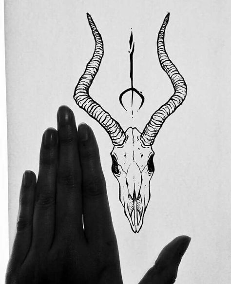 Antelope Skull Tattoo, Skull With Horns Tattoo, Antelope Skull, Skull With Horns, Back Tats, Bat Tattoo, Ram Skull, O Tattoo, Dope Tattoos