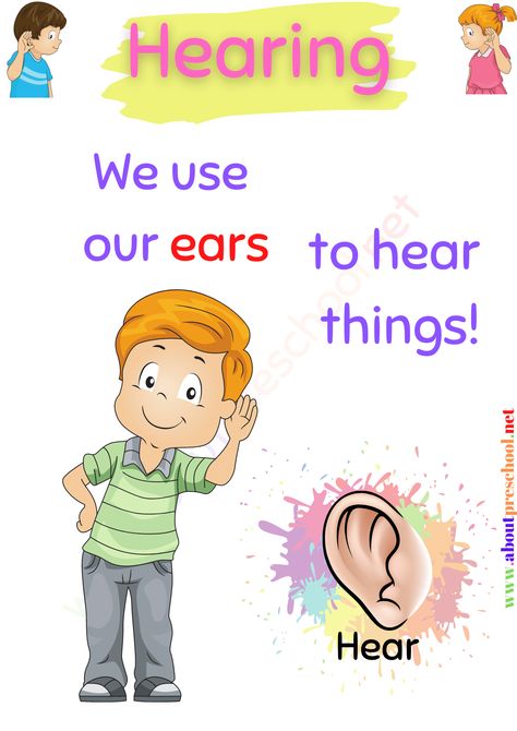 5 Senses Pictures For Kindergarten, 5 Senses Lesson Plan, Sense Organs For Kindergarten, 5 Senses Activities Kindergarten, Kindergarten 5 Senses, 5 Senses Activities For Preschoolers, Body Kindergarten, 7 Senses, Body Parts Preschool Activities