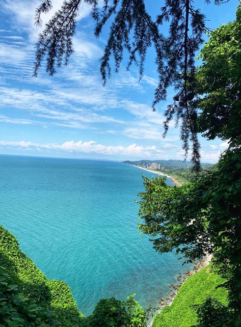 #batumi #sea #green #botanical #garden #georgia Batumi Botanical Garden, Batumi Aesthetic, Summer Vision, Georgia Country, Batumi, Everyday Hacks, Botanical Garden, Sea Green, Book Aesthetic