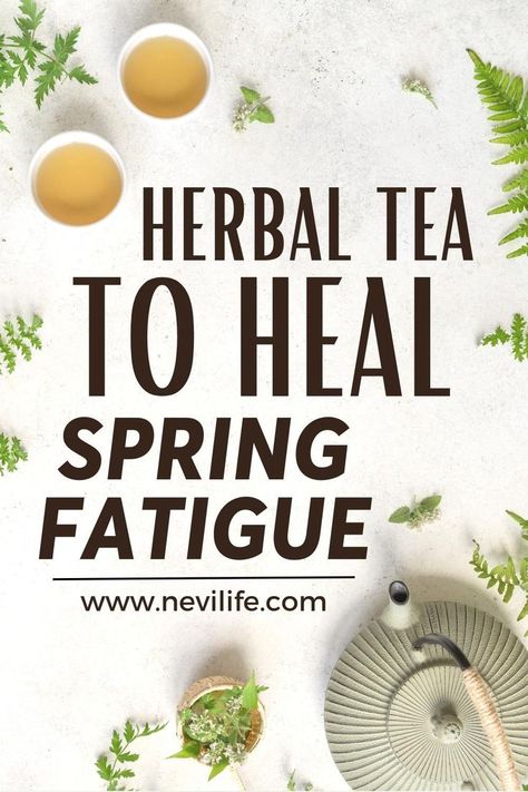 Especially spring fatigue is like chronic fatigue for most of us. If you wonder about how to relieve spring fatigue, these herbal teas help to relaxing, calming and boost body energy. Here is many herbal tea types for self. Tea Types, Rosehip Tea, Herbal Tea Benefits, Herbal Teas Recipes, Tea Benefits, Herbal Teas, Types Of Tea, Body Energy, Tea Recipe