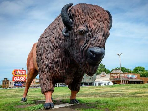 South Dakota was one of my favorite places to visit when I moved across the country!!!  Don't get me wrong, Mount Rushmore is really awesome, but you also need to include these attractions on your next trip to SoDak. South Dakota Road Trip, South Dakota Vacation, South Dakota Travel, Sioux Falls South Dakota, San Francisco International Airport, Cool Things To Do, Chicago Photos, Architecture Tattoo, Travel Channel