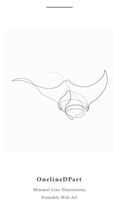 One Line Sea Animal Tattoo, One Line Drawing Sea Animals, Line Art Drawings Ocean, Minimalist Art Line, One Line Stingray, Single Line Ocean Tattoo, One Continuous Line Tattoo, Fine Line Ocean Animal Tattoos, Line Drawing Sea Creatures