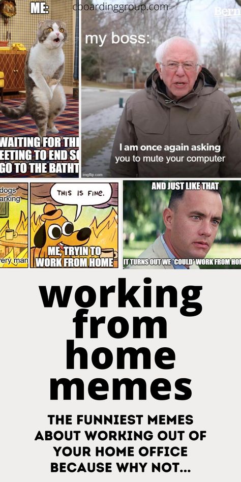 Collection of the best working from home memes that cover the gamut including:  Zoom memes Kids interrupting your conf call while working from home memes WFH memes about your boss Memes about working from home with bad internet Working from home memes that everyone can appreciate and more…  memes funny memes lol memes dank memes wfm memes Work From Home Funny Humor, Remote Work Humor, Work From Home Mom Memes Funny, Work From Home Jokes, Work From Home Funny, Technology Meme, Working From Home Meme, Job Memes, Fuuny Memes