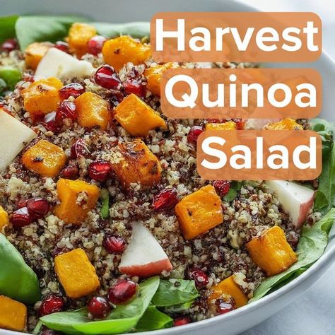 Meredith Shirk & Svelte Training Meredith Shirk Recipes, Metaboost Recipes Svelte, Harvest Quinoa Salad, Metaboost Recipes, Svelte Recipes, Svelte Training, Meredith Shirk, V Shred, Quinoa Salad Recipe