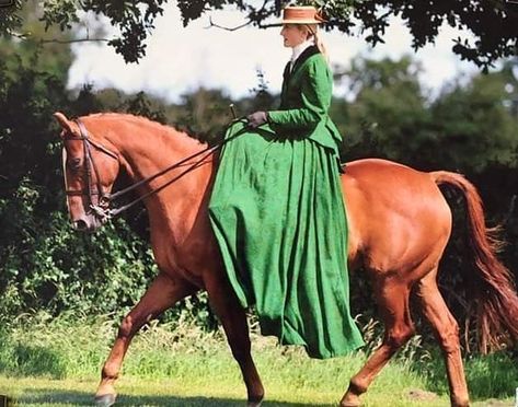 Area 16 Side Saddle on Instagram: “Costume Concours De'elegance 🎩 Janine Hards looking stunning on board Saxon 💃🏻🐎 #area16 #costumeclass #concoursdelegance #sidesaddle” Outfit Planning, Side Saddle, Outfit Plan, Horse Love, Horse Girl, Massimo Dutti, On Board, Christmas Art, Scandal