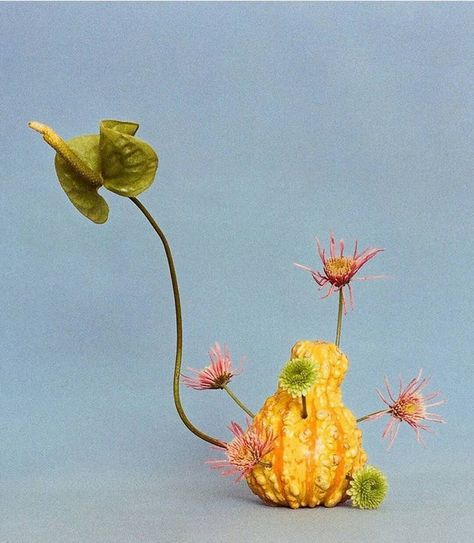 Hello Artists on Instagram: “🌼 A flower with love 🌼--- Bruno Munari 💚” Ikebana Sogetsu, Arranging Flowers, Mother's Day Bouquet, Food Art Photography, Entertaining Decor, Still Photography, Flower Bouquets, Cool Plants, Ikebana