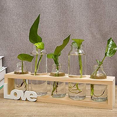 Tabletop Terrarium, Desktop Planter, Vase Stand, Home Illustration, Test Tube Vase, Plant Terrarium, Vase Decoration, Terrarium Containers, Hydroponic Plants