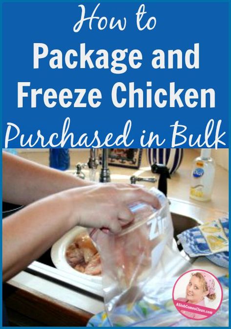 Freeze Chicken, College Theatre, Freezing Chicken, Slob Comes Clean, Dana K White, A Slob Comes Clean, Homemaking Tips, Mom Encouragement, Raw Chicken