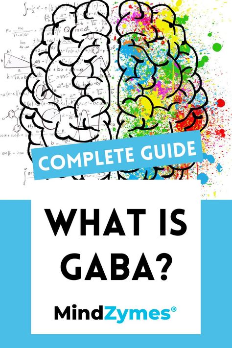 Gaba Supplement Benefits Of, What Is Gaba, Low Gaba, Gaba Benefits, Gaba Supplement, Nutritional Guide, Nervus Vagus, Gastric Problem, Vegan Probiotics