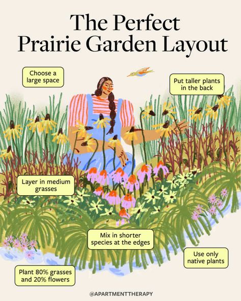 How to Start a Prairie Garden with Native Plants | Apartment Therapy Prairie Garden Ideas, Native Prairie Landscaping, Native Front Garden, Native Lawn, Native Plant Garden Design, Clover Lawn, Native Plant Landscape, Prairie Planting, Lawn Alternatives