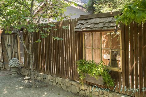 A & B test shots for future - Visalia CA - EyeoftheLady Fence Window For Dog, Dog Proof Garden, Window In Fence, Dog Window In Fence, Botanical Library, Fence Window, Gardening For Dummies, Dog Window, California Garden