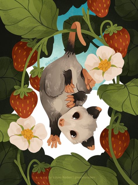 Opossum Drawing, Possum Art, Opossum Art, Arte Peculiar, Art Challenge, Cat Drawing, Art Inspiration Drawing, Creature Art, Cute Illustration