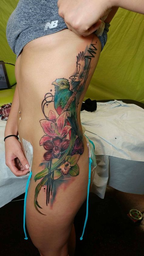 Honduran Tattoos, Guatemala Bird Tattoo, Quetzal Bird Tattoo, Quetzal Tattoo Guatemalan, Guatemala Tattoo Ideas Design, Guatemalan Tattoo Ideas, Guatemala Tattoo, Guatemala Tattoo Ideas, Guatemalan Tattoo