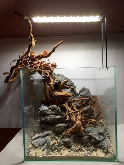 Ideas For Aquarium, Hardscape Aquarium, Aquarium Hardscape, Hardscape Ideas, Biotope Aquarium, Fish Tank Themes, Aquascape Design, Betta Aquarium, Nano Aquarium