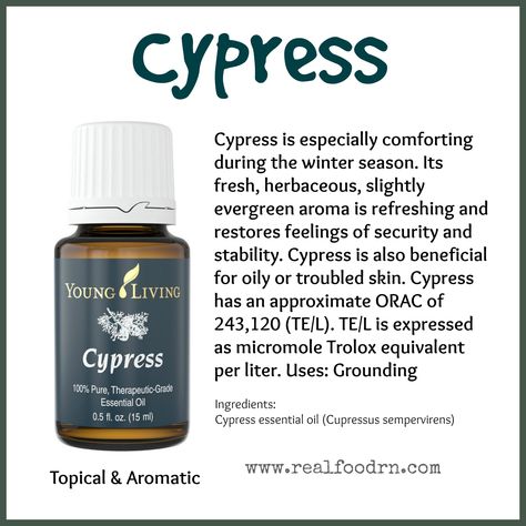 Cypress Essential Oil. Restore feelings of security and stability. #cypress #essentialoils Oils For Health, Benefits Of Essential Oils, Cypress Essential Oil, Vetiver Essential Oil, Essential Oil Companies, Yl Oils, Yl Essential Oils, Chamomile Essential Oil, Reference Chart