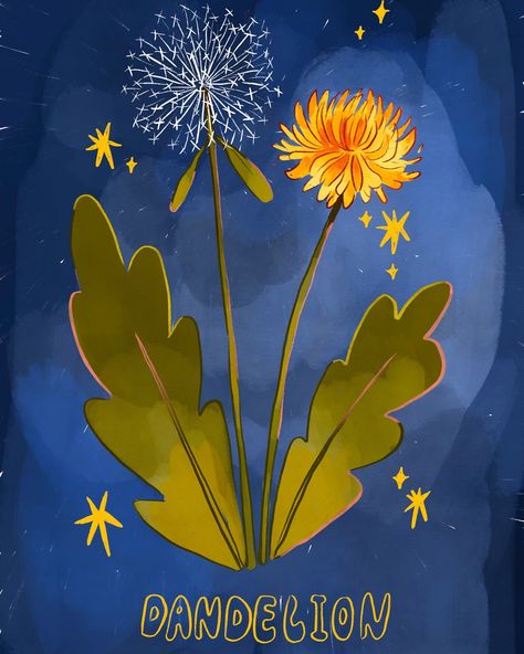 Anyone else just love dandelions? They just brighten everything up! . . . .#art #artist #draw #drawing #digitalart #digitaldrawing #digitalillustration #sketch #dandelion #flower #floralart #floralillustration How To Draw A Dandelion, How To Draw Dandelion, Dandelion Doodle, Dandelion Sketch, Dandelion Illustration, Dandelion Fairy, Dandelion Drawing, Blowing Dandelion, Dandelion Painting