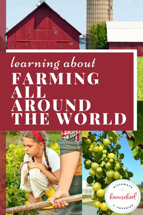 Learning About Farming All Around the World - Homeschool Giveaways Farm Unit Study, Homeschool Unit Study Ideas, Farm Jokes, Farm Coloring Pages, Farm Unit, Pinterest Virtual Assistant, Farm Preschool, Farm School, Homeschool Freebies