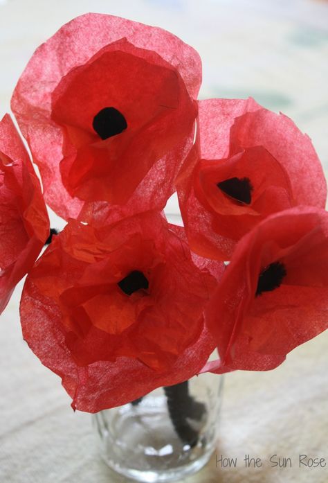 Tissue Paper Poppies, Paper Plate Poppy Craft, Memorial Day Poppies, Poppy Craft For Kids, Veterans Day Poppy, Paper Poppies, Remembrance Day Activities, Rose Making, Remembrance Day Art