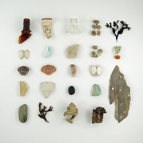 Things Organized Neatly, Cabinet Of Curiosities, Nature Collection, Beach Combing, Apartment Inspiration, Found Object, Natural History, Assemblage, Color Inspiration