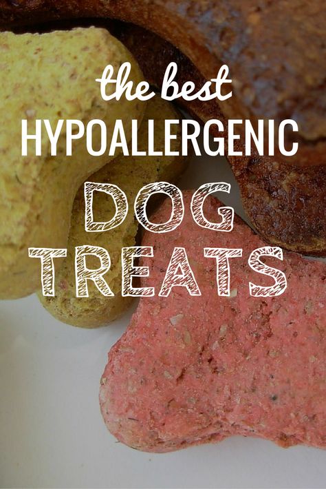 Dog Training Treats Recipe, Best Hypoallergenic Dogs, Hypoallergenic Dog Treats, Soft Dog Treats, Best Treats For Dogs, Dog Biscuits Homemade, Treats For Dogs, Dog Training Treats, Diy Dog Treats