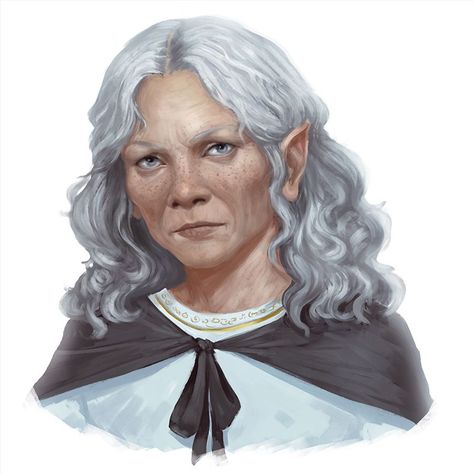 Female Gnome, Dnd Elves, Demon Lord, Forgotten Realms, Fantasy Portraits, Fantasy Races, Dungeons And Dragons Characters, Dnd Art, Female Portraits