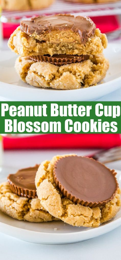 Peanut Butter Cup Blossom Cookies, Resses Peanut Butter Cups, Peanut Blossom Cookies, Classic Christmas Cookies, Xmas Goodies, Fun Drink Recipe, Peanut Butter Blossom Cookies, Peanut Butter Cup Cookies, Crazy Cookies