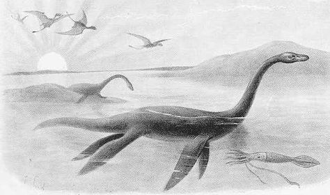 Plesiosaurus Tattoo, Monster Drawing, Sea Serpent, Loch Ness Monster, Unique Drawings, Loch Ness, Antique Illustration, Scientific Illustration, Urban Legends