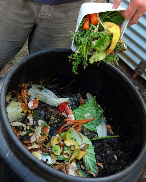 compost-getty-0320 Best Compost Bin, Composting 101, Compost Bin Diy, Growing Organic Vegetables, Diy Compost, Luxury Garden Furniture, How To Make Compost, Composting At Home, Compost Tea