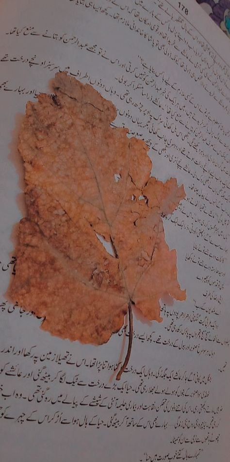 Novels Aesthetic, Leaves Aesthetic, Novels Urdu, Leaves Photography, Dead Leaves, Aesthetic Yellow, Brown Leaves, Color Board, Poetry Lines