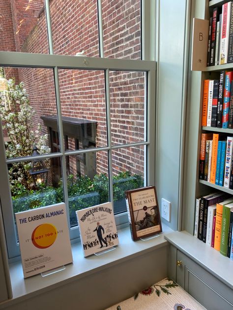 window sill with books and tree with flowers Books Cafe, Tree With Flowers, Book Cafe, Flowering Trees, Window Sill, Wild Cats, Bookstore, Cafe, Books