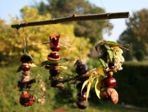 Autumn Mobile, Conkers Craft, Fruit Shoot, Make A Mobile, Circle Crafts, Waldorf Crafts, Outdoor Crafts, Forest School, Nature Play