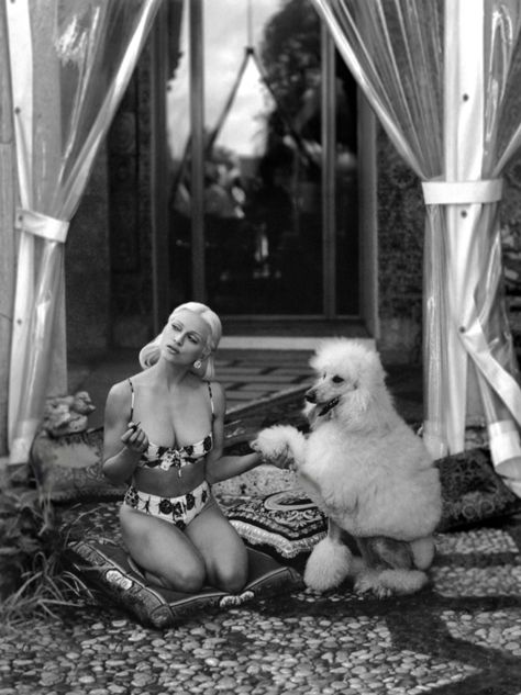 Madonna Photographed by Steven Meisel for Versace in 1995 ~ Vintage Everyday Versace 1995, Lady Madonna, White Poodle, Friend Painting, Paolo Roversi, New Retro Wave, Tim Walker, Peter Lindbergh, Mario Testino