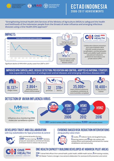 Disease Prevention, Branding Graphic Design, Graphic Design Adobe, Adobe Indesign, Health Services, Pet Health, Saving Lives, Adobe Illustrator, Illustrator