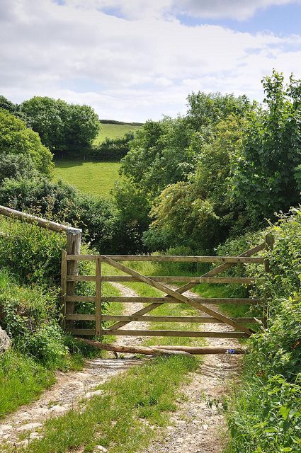 This reminds me of my grandparents lane that lead to the house. I loved hopping out to open the gate for Papa! Country Roads Take Me Home, British Countryside, Dirt Road, Green Gables, English Countryside, Garden Gates, Country Life, Farm Life, 그림 그리기