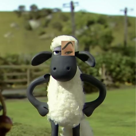 Sheep Meme, Sheep Cartoon, Timmy Time, Shaun T, Aardman Animations, Alice Liddell, Shaun The Sheep, Poster Room, Never Grow Up