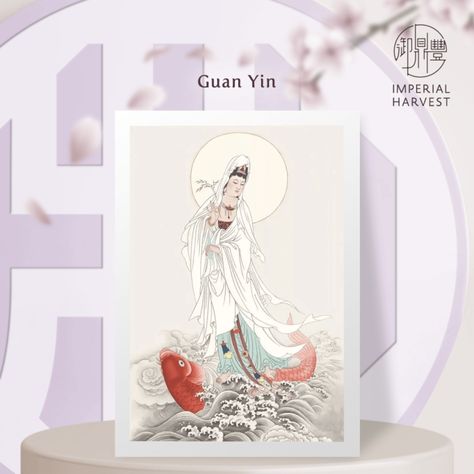 Guan Yin's Birthday: Celebrating the Goddess of Mercy and Her Divine Wisdom - Imperial Harvest Goddess Meaning, Imperial Dragon, Goddess Of Mercy, Divine Wisdom, Buddhist Philosophy, Quan Yin, Guan Yin, Kwan Yin, Song Dynasty