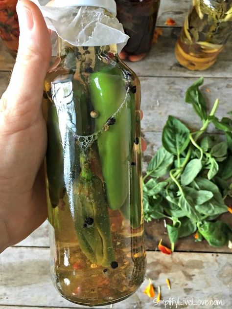 homemade Gourmet Hot Pepper Vinegar Hot Pepper Vinegar Recipes, Pepper Vinegar Recipes, Pepper Sauce Recipe Vinegar, Hot Pepper Vinegar, Pepper Vinegar, How To Make Vinegar, Hot Banana Peppers, Vinegar Recipes, Homemade Gourmet