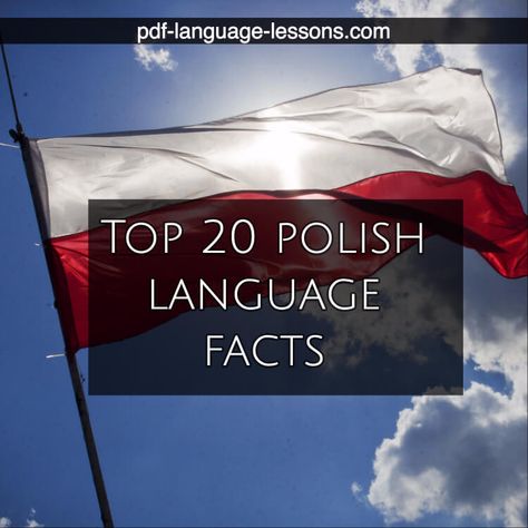 Polish Words Tattoo, Language Facts, Poland Language, Carol Songs, Polish Foods, Polish Tattoos, Learn Polish, Polish Culture, Polish People