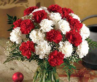 White Carnation Bouquet, Carnation Wedding Bouquet, Carnation Centerpieces, Red Quinceanera Ideas, Carnation Wedding, Christmas Wedding Flowers, White Carnations, Prom Bouquet, Carnation Bouquet