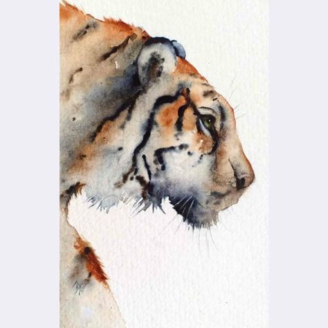 Tiger Watercolor, Watercolor Wildlife, Water Colouring, Watercolor Tiger, Eagle Painting, Flowers Paintings, Bird Watercolor Paintings, Bird Watercolor, Big Cats Art