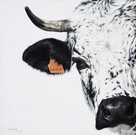 Cow Pics, Nguni Cows, Nguni Cattle, Western Graphics, Cowhide Decor, Cow Photos, Longhorn Cattle, Mini Cows, Moo Moo