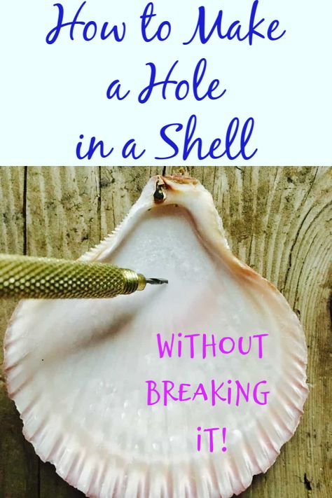 Diy Sea Shells Ideas, Sand Dollar Ideas Diy, Decoration With Sea Shells, Sea Shells Jewelry Diy, Jewelry Made From Sea Shells, Project With Sea Shells, Making Sea Shell Jewelry, Ideas With Shells Beach Crafts, Seashell Windchime Diy How To Make