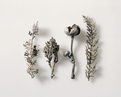 Jewelry Made From Nature, Anthemis Tinctoria, Wax Casting Jewelry, Cast Jewelry, Lost Wax Jewelry, Casting Metal, Twig Jewelry, Real Animals, Jewelry Wax