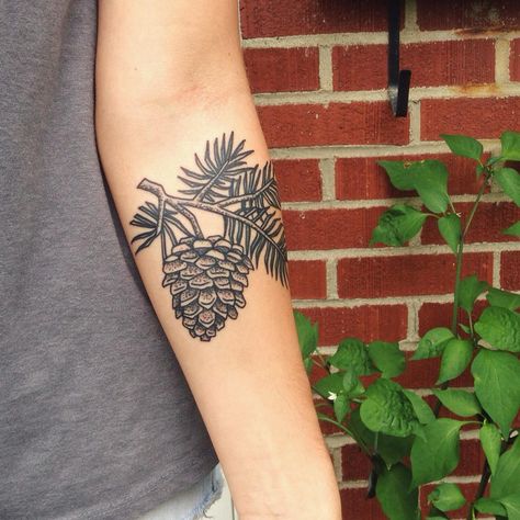 Pine Cone Tattoo, Branches Tattoo, Pinecone Tattoo, Jaw Tattoo, Cone Tattoo, Tree Tattoo Color, Olive Tree Tattoos, Tree Tattoo Meaning, Pine Tattoo