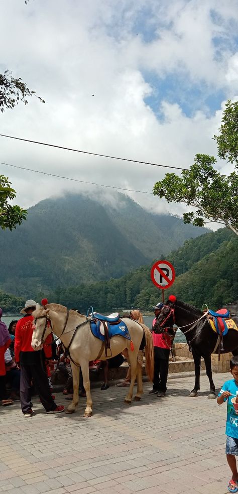 Udah lama nggak ke sarangan, balik lagi cuaca nya cerah bgt Telaga Sarangan, Horses, Animals, Art